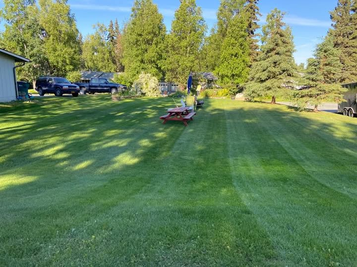 Large residential lawn maintenance with professional mowing equipment